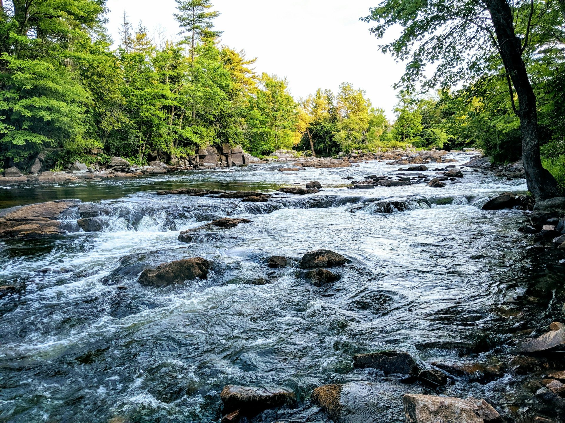 Fast-flowing river over rocks beside a forest of green deciduous and pine trees