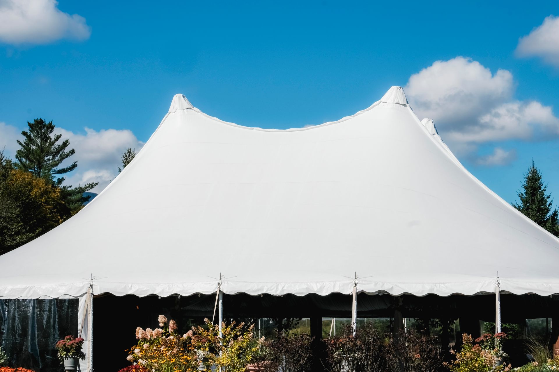 White event marquee with flowers under a blue sky