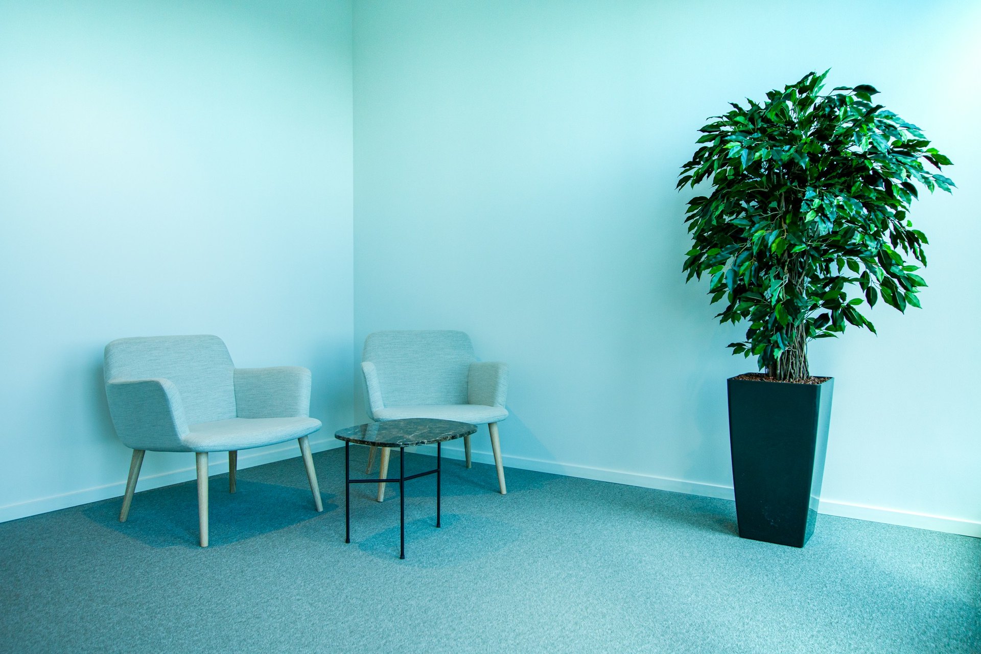 Two upholstered armchairs and a small table beside a potted plant in a bright empty room