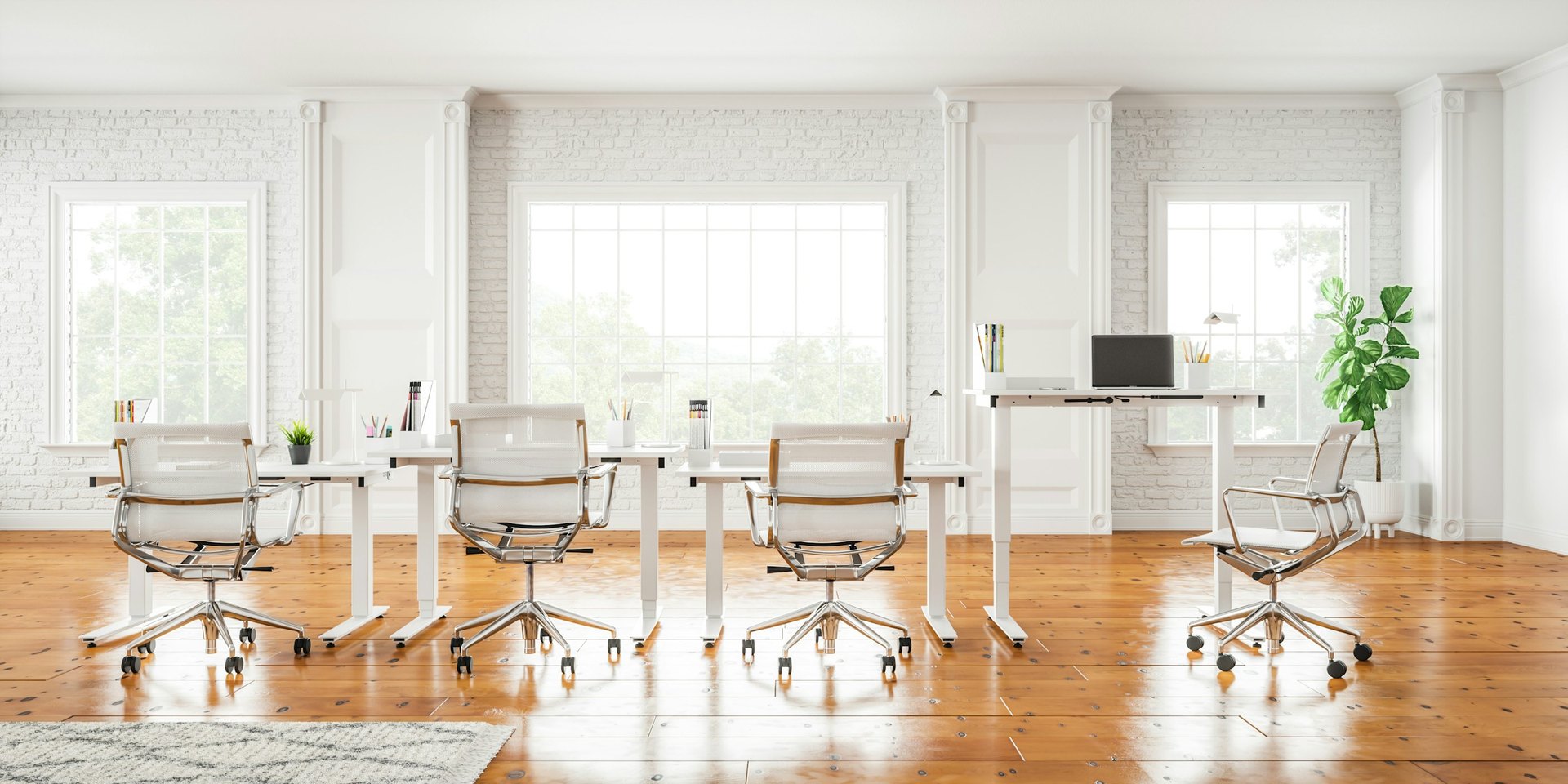 Bright open office with white desks, mesh chairs and a potted plant beside tall windows