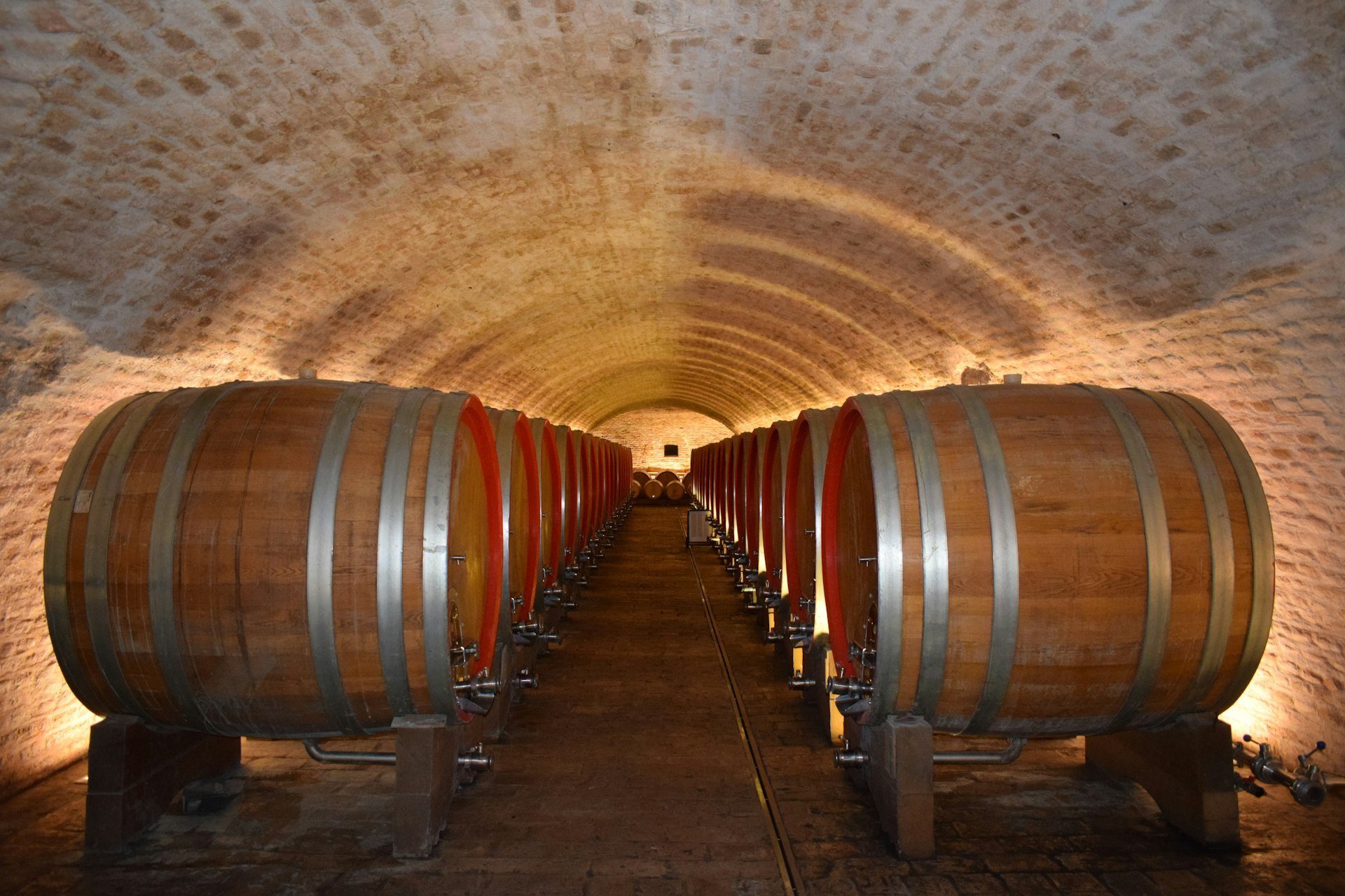 Vaulted brick cellar corridor lined with large oak wine barrels