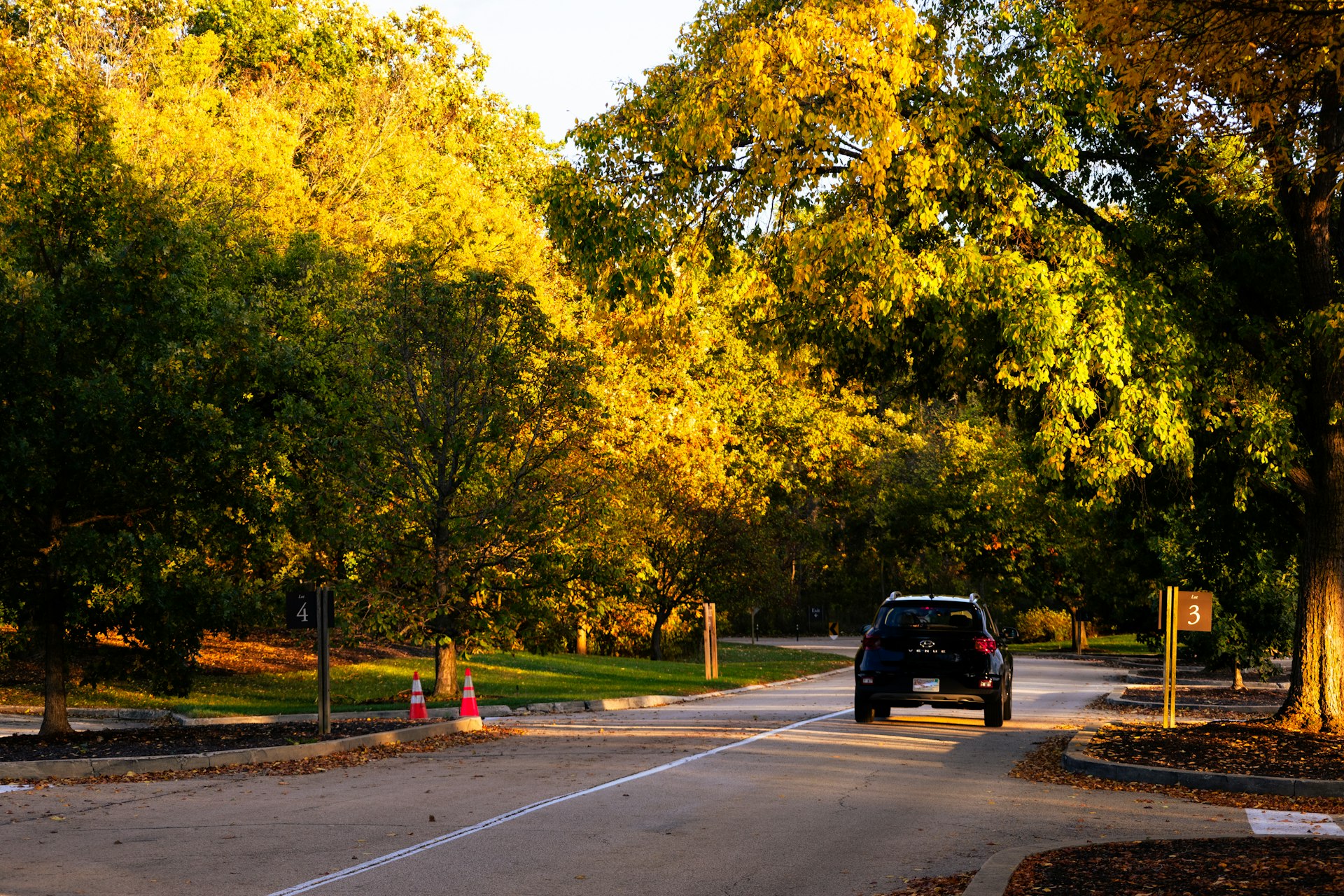 A car driving along a tree-lined road in autumn