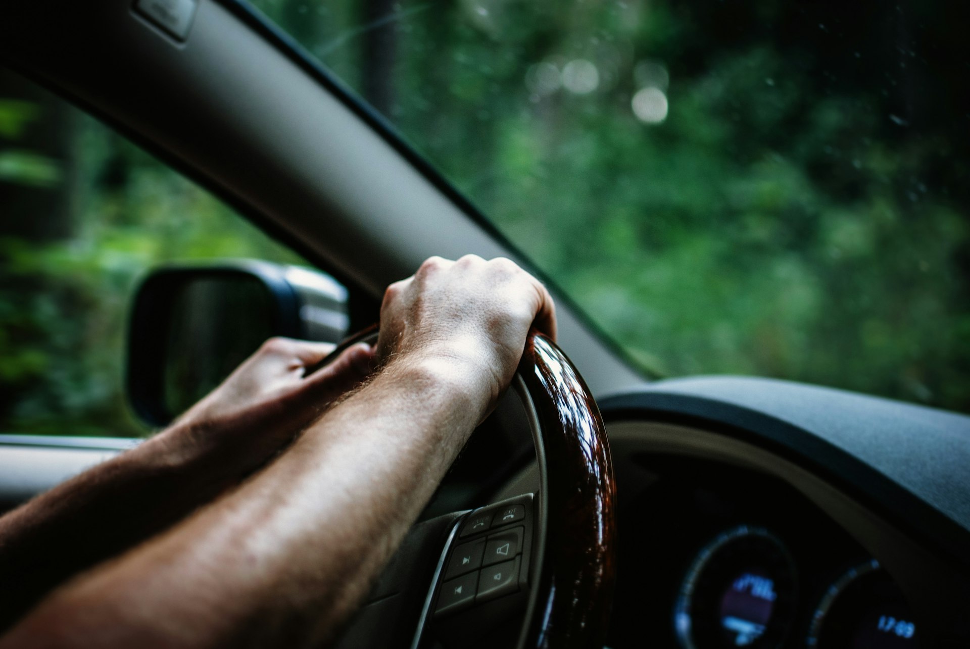 Driver's hands on a steering wheel with green trees outside the window