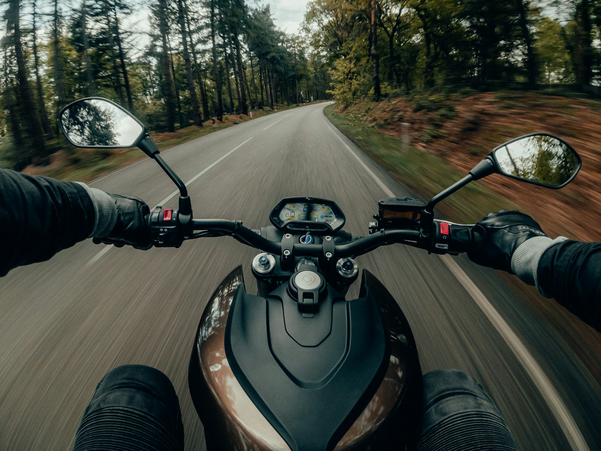 Rider's view over motorcycle handlebars on a forest road